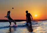 Dog sunset play with ball image- adventure dog gift box collection