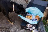 cattle dog opening wag swag dog gift box