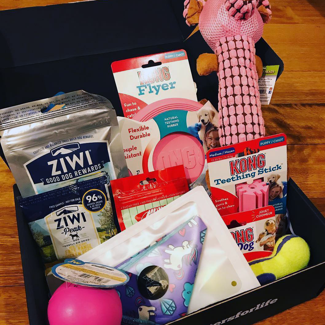Puppy hampers top