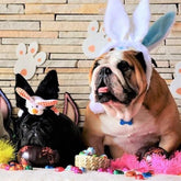 Personalised Easter Gift Box & Surprise Presents | Golden Swag