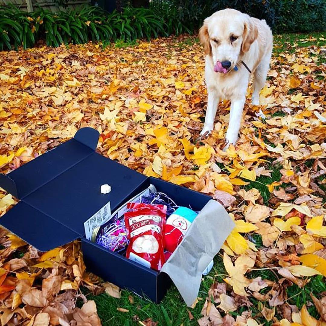 CAN YOU TEACH AN OLD DOG NEW TRICKS?
