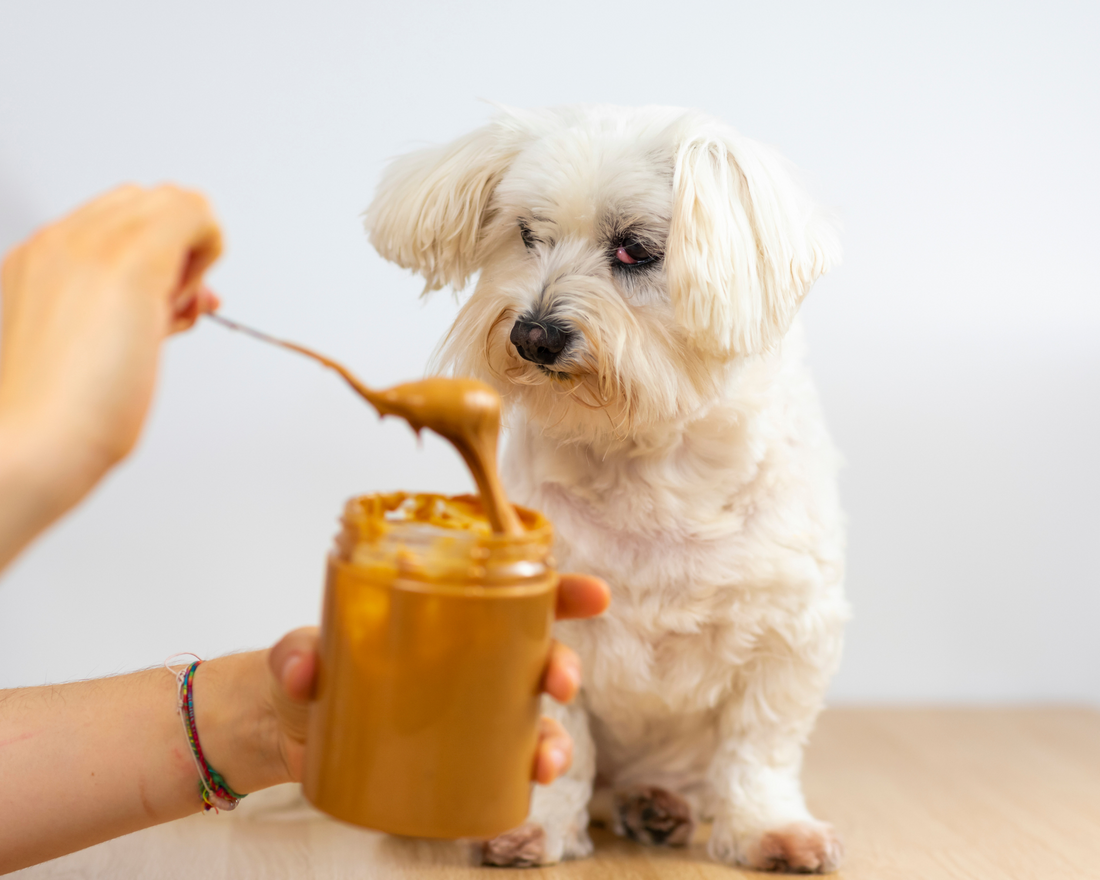 Can I feed my dog peanut butter?