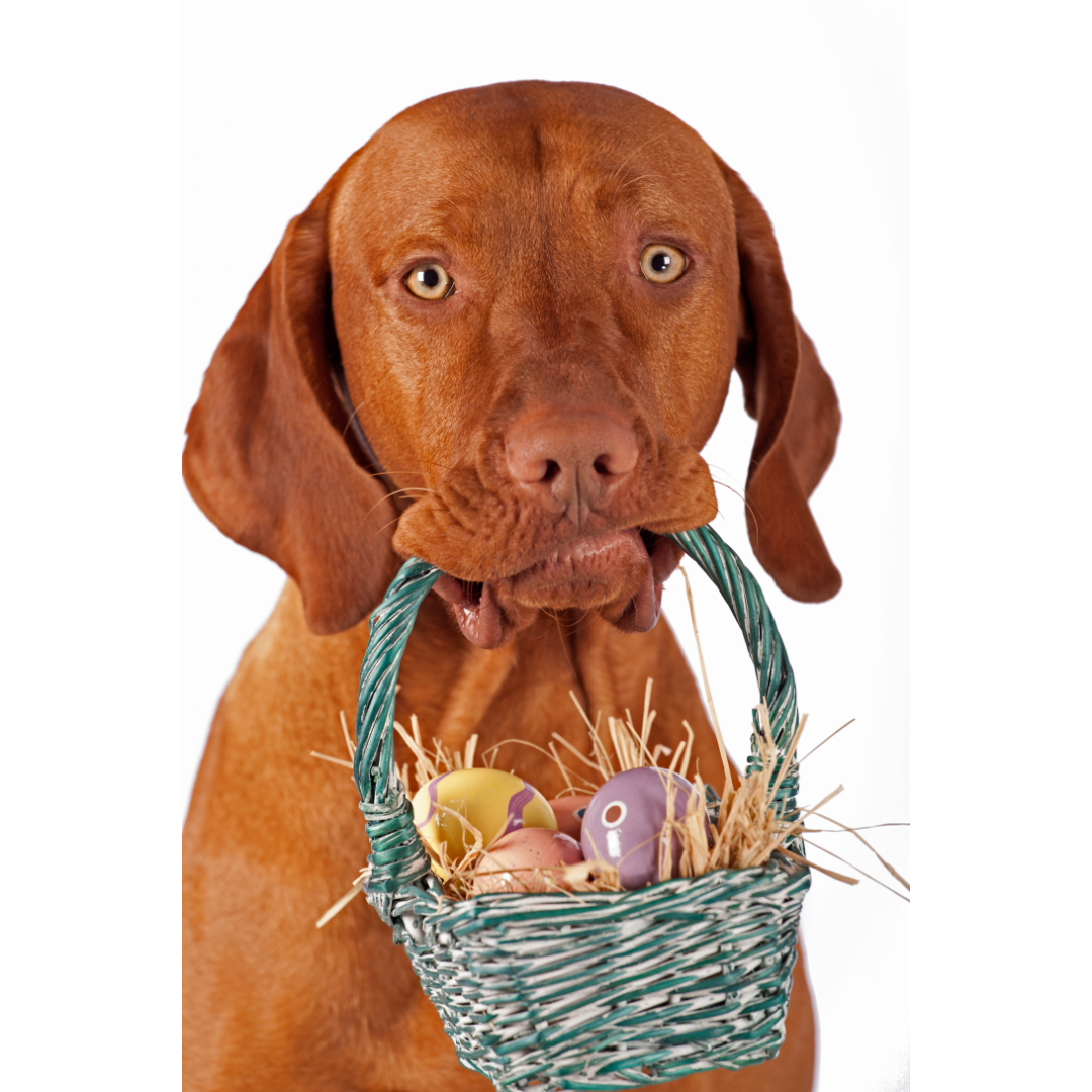 Hop onto these berry good Easter eggs