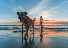 Load image into Gallery viewer, Dog at beach image - Adventure dog gift box
