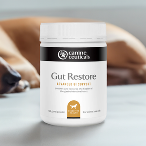 gut flora restore, probiotic gut health