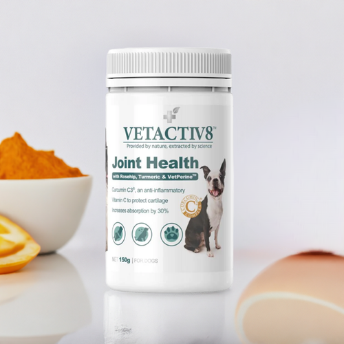 senior dog anti inflammatory joint health