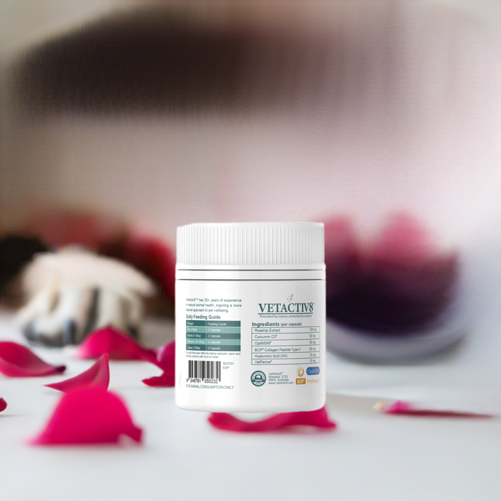 Joint Health Plus