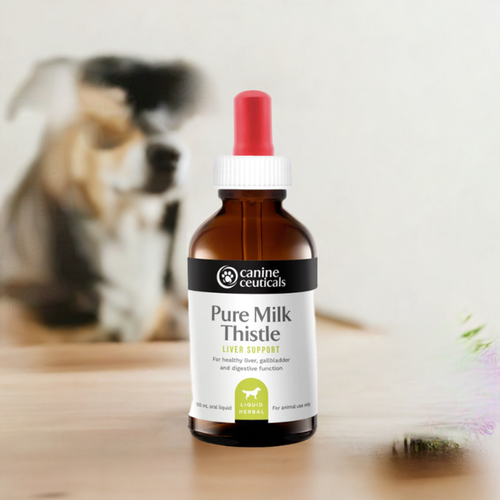 liver support milk thistle drops gut health