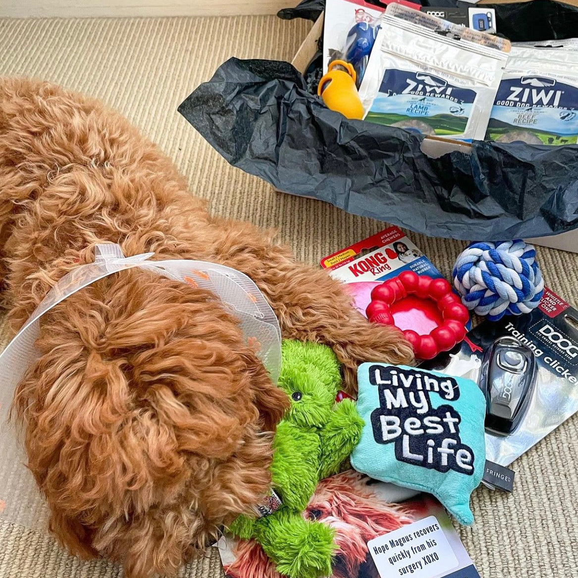 Wag Swag Adventure dog gift box fun play