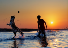 Load image into Gallery viewer, Dog sunset play with ball image- adventure dog gift box collection

