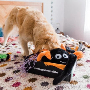 Halloween Themed Gift Box for Dogs | Surprise Gifts | Golden Swag