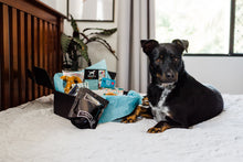 Load image into Gallery viewer, Cattle dog posing in front of dog hamper box with toys
