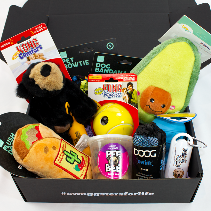 Deluxe dog box contents with dog treats and soft dog toys