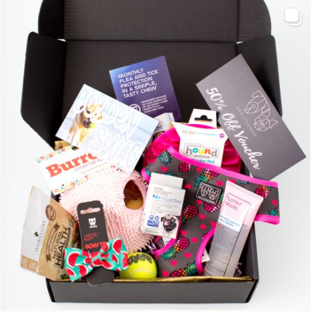 Wag Swag Deluxe dog gift box with toys
