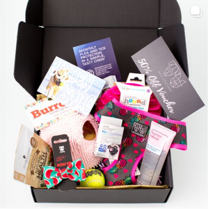 Wag Swag Deluxe dog gift box with toys