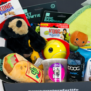 best dog gift box with dog toys image