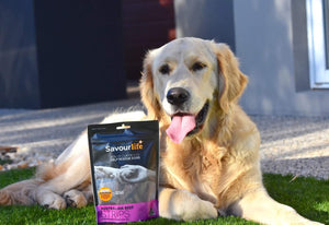 Dog posing in front of Savour Life dog Australian beef strips dog treats