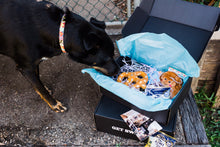 Load image into Gallery viewer, cattle dog opening wag swag dog gift box
