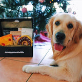 Dog posing in front of dog gift box Doggo box