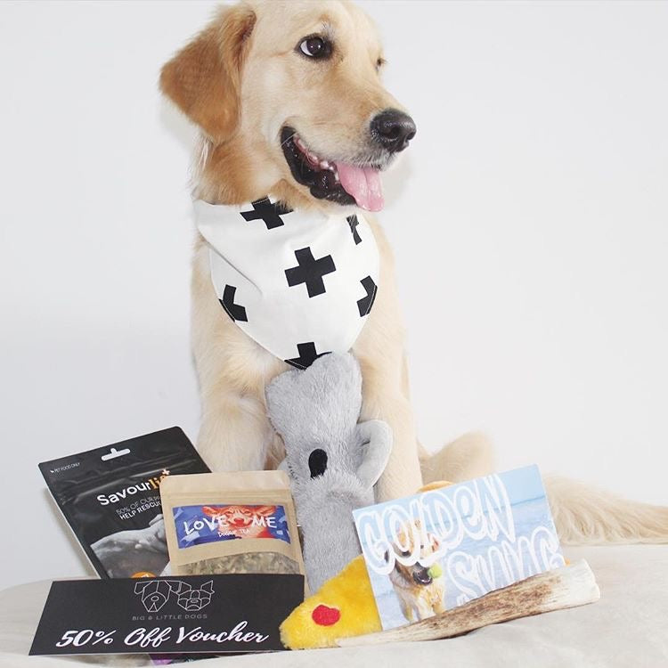 Labrador birthday dog gift box