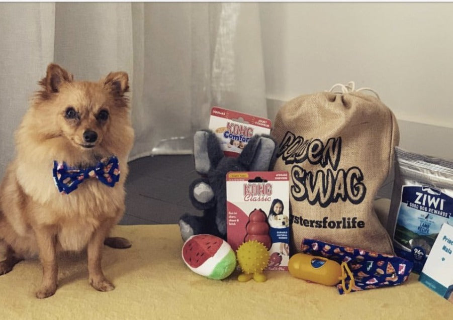 Puppy unboxing dog gifts treats_Ziwi pets_kong
