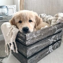 Load image into Gallery viewer, Puppy in crate welcome home image
