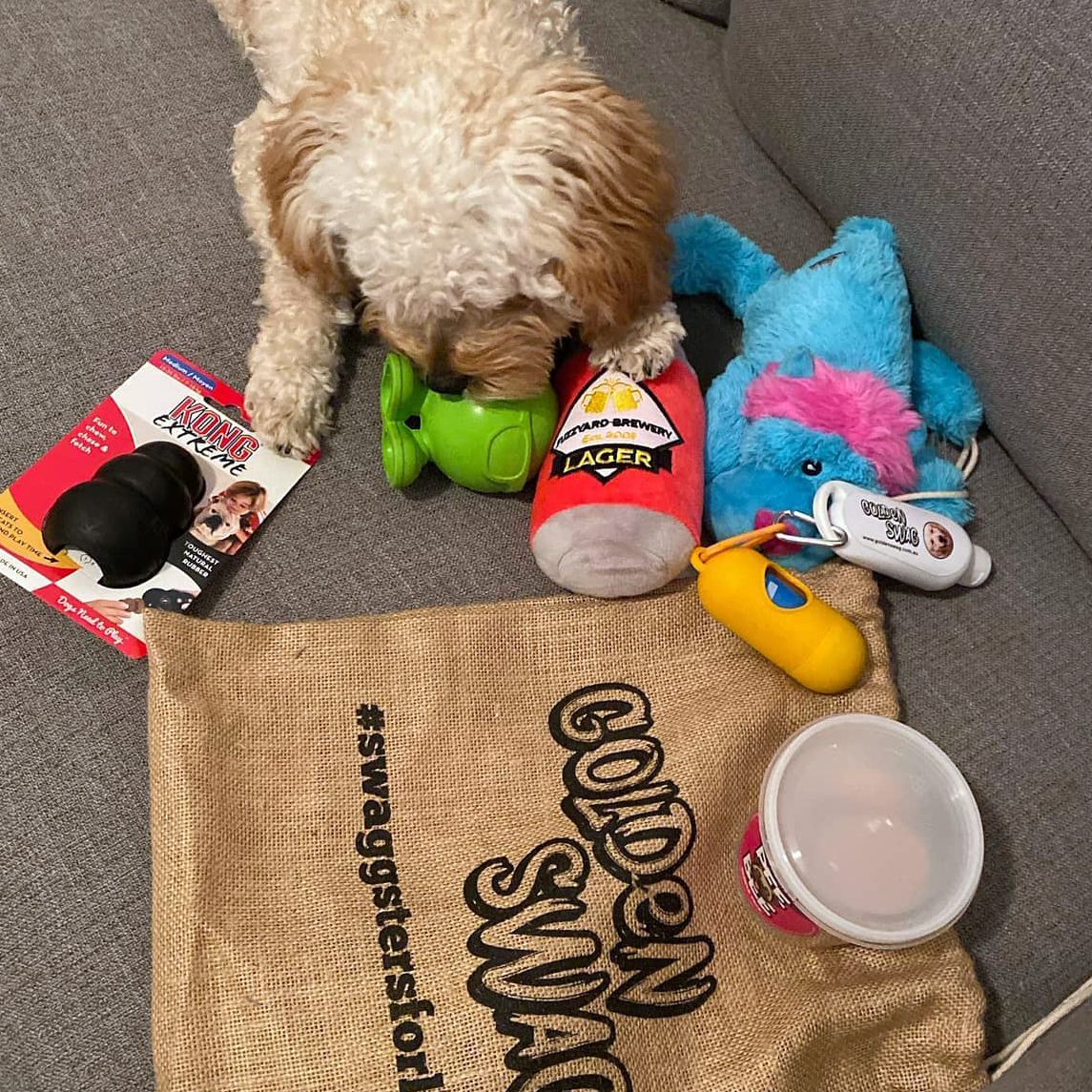 Cavoodle unboxing gift box_kong_treats