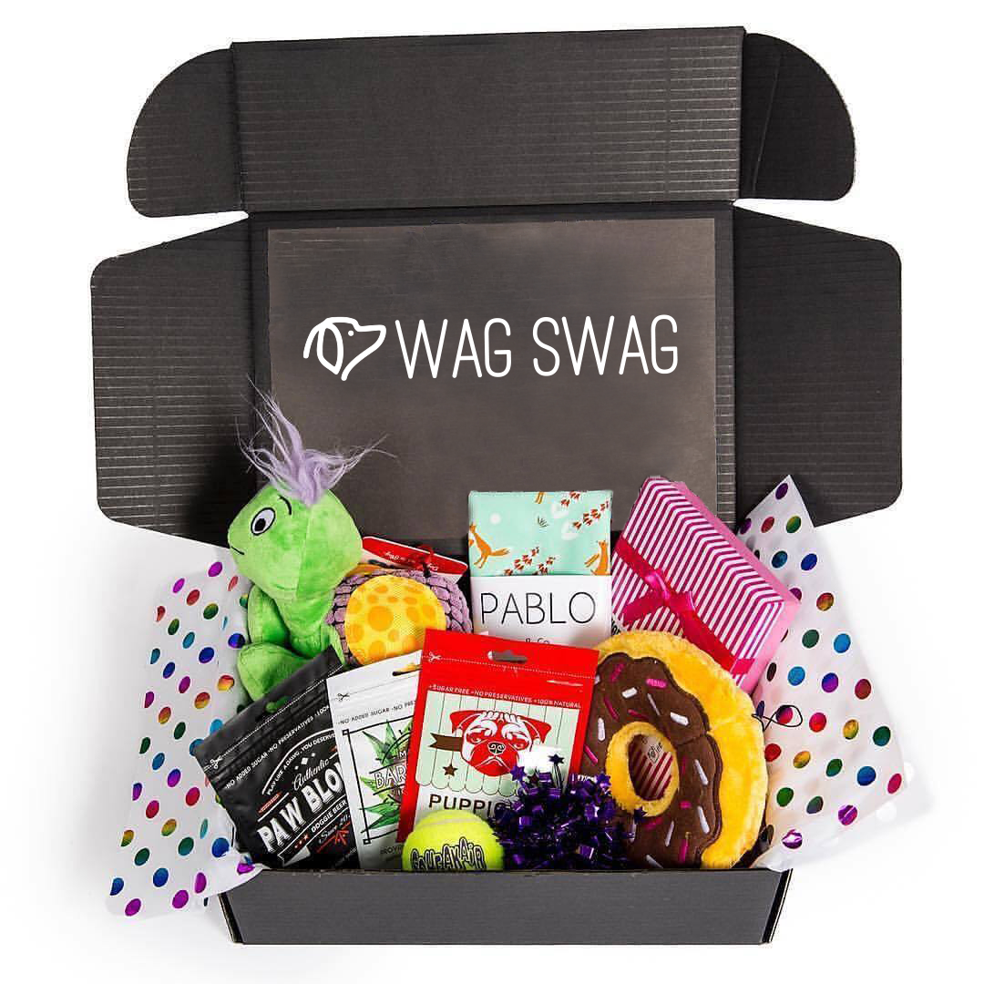 Wag Swag birthday dog gift box toys