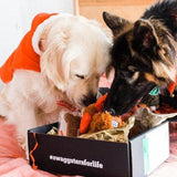 Christmas Gift Box for Dogs | Christmas Presents | Golden Swag