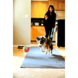 CHUCKIT! Indoor interactive Ball