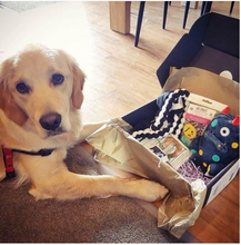 Load image into Gallery viewer, dog posing in front of best dog gift box
