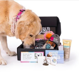 Dog gift box australia opening