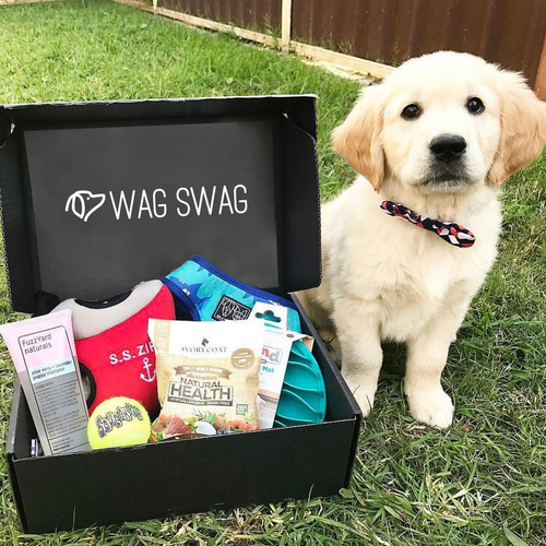 puppy dog gift hamper box with toys