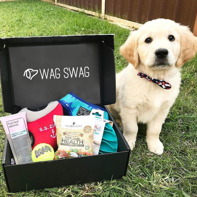 Shop Premium Dog Gift Boxes Wag Swag